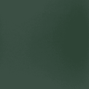 Verde bosque