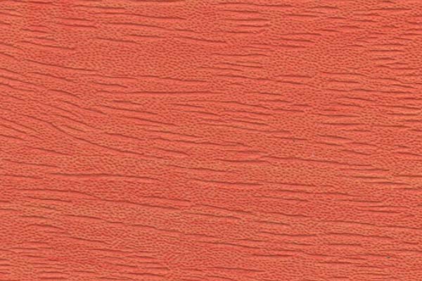Orchard Orange