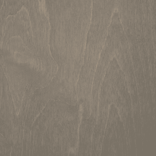 Champi&ntilde;&oacute;n