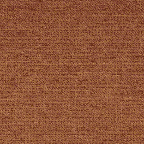 Marron Camel